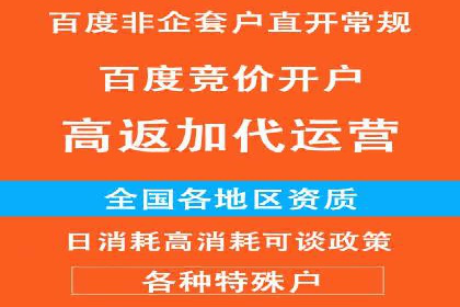 抖音信息流广告的投放策略与成功案例分析